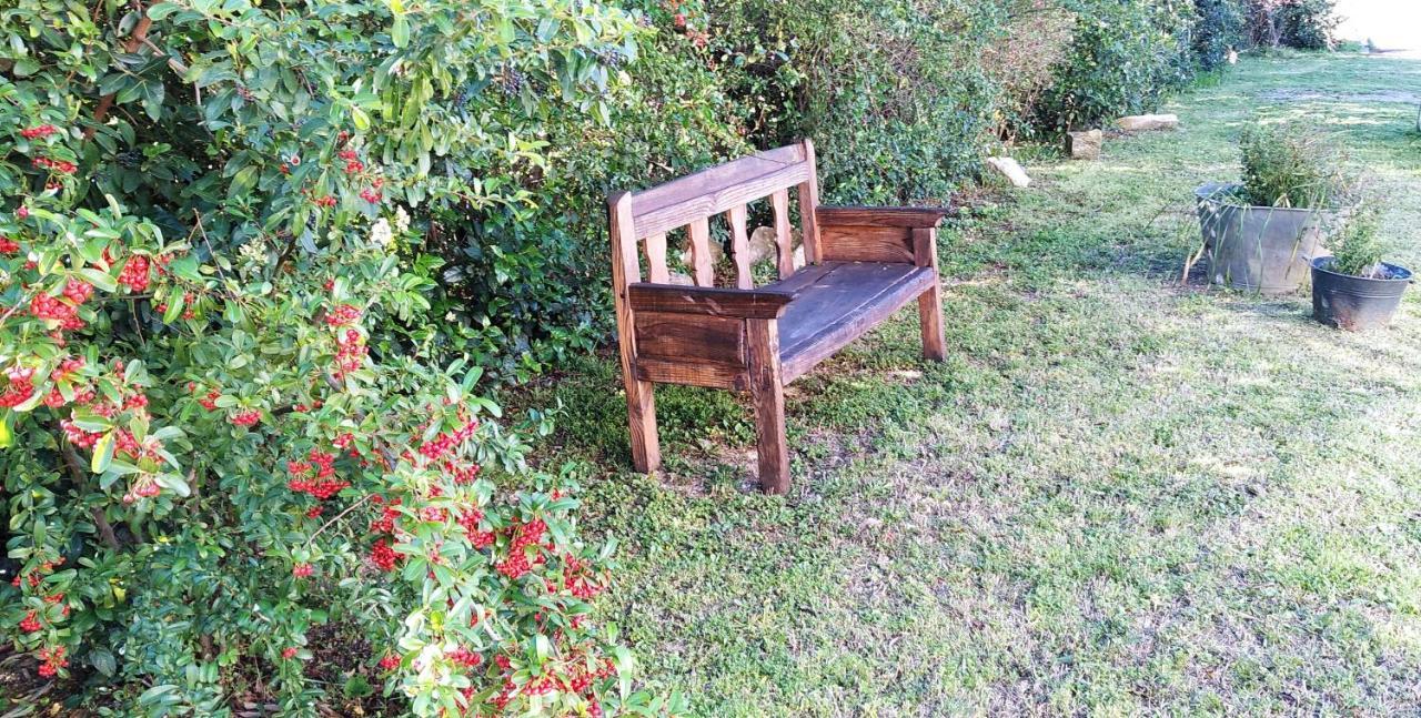 Bed and Breakfast L'Esperluette En Camargue Uchaud Zewnętrze zdjęcie